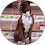 Perro dingo